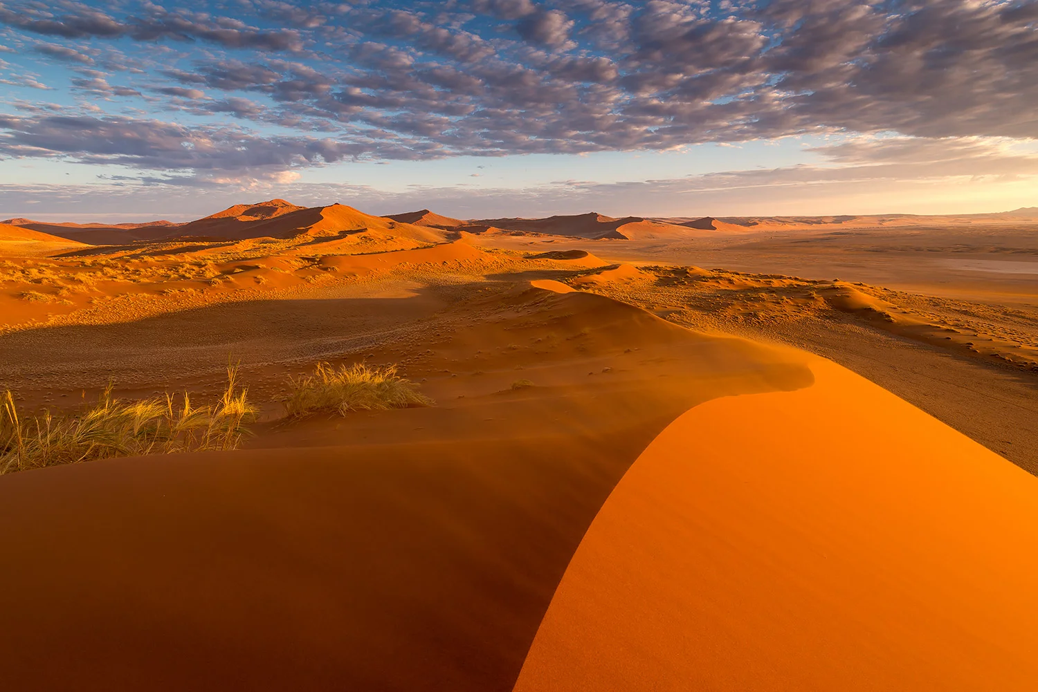 Namibia_StefanForster_116.jpg