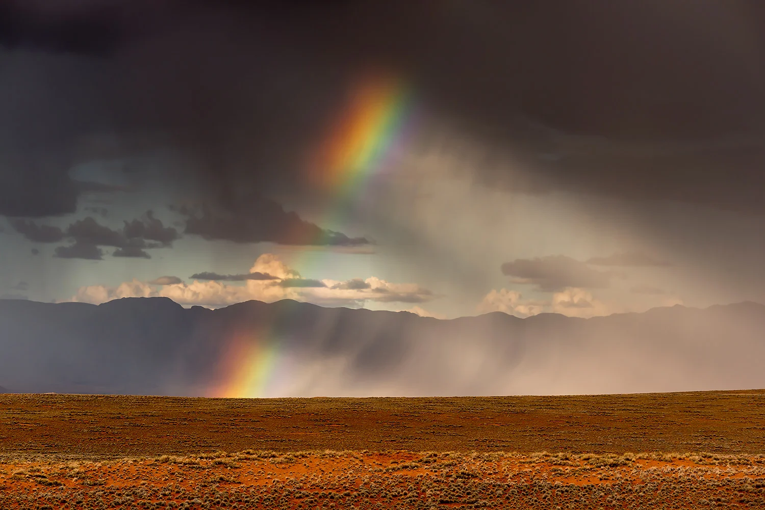 Namibia_StefanForster_118.jpg