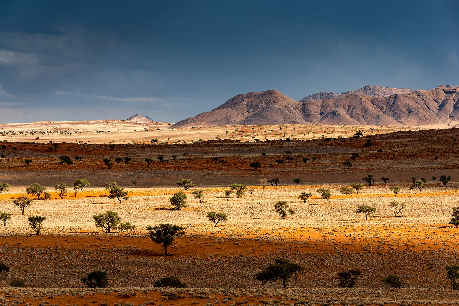 Namibia_StefanForster_119.jpg