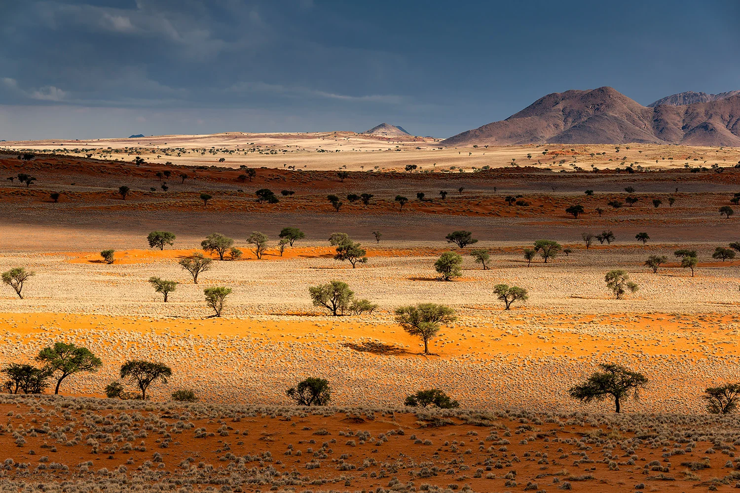 Namibia_StefanForster_120.jpg