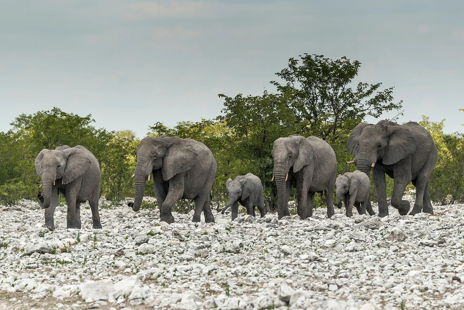 Namibia_StefanForster_121.jpg