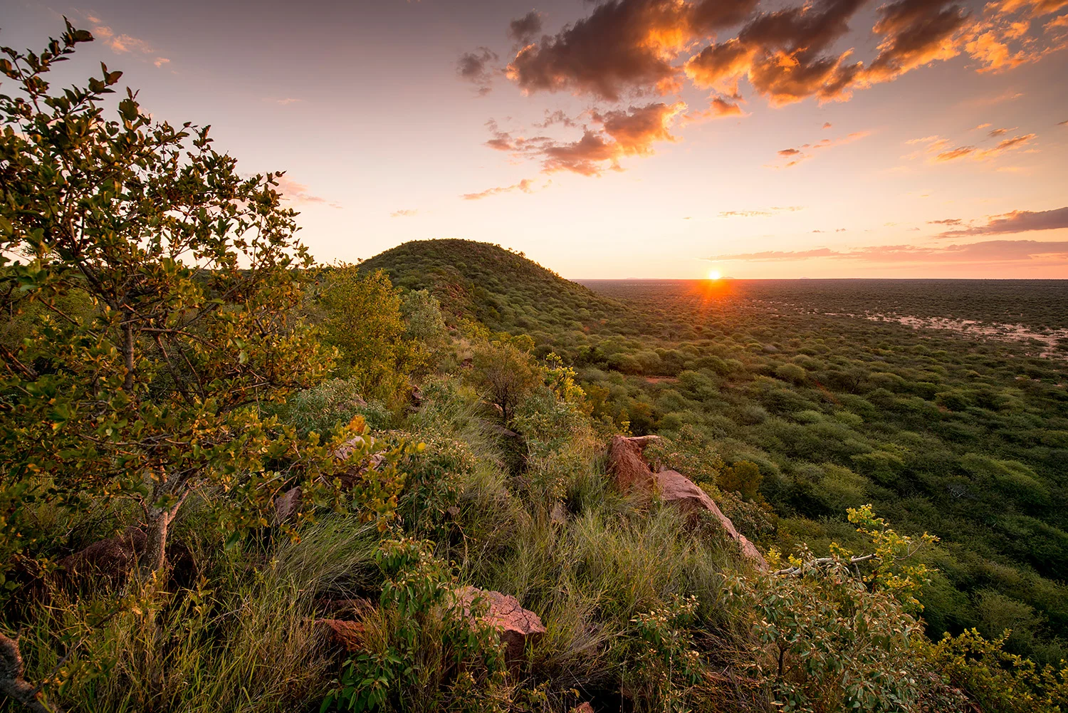 Namibia_StefanForster_123.jpg