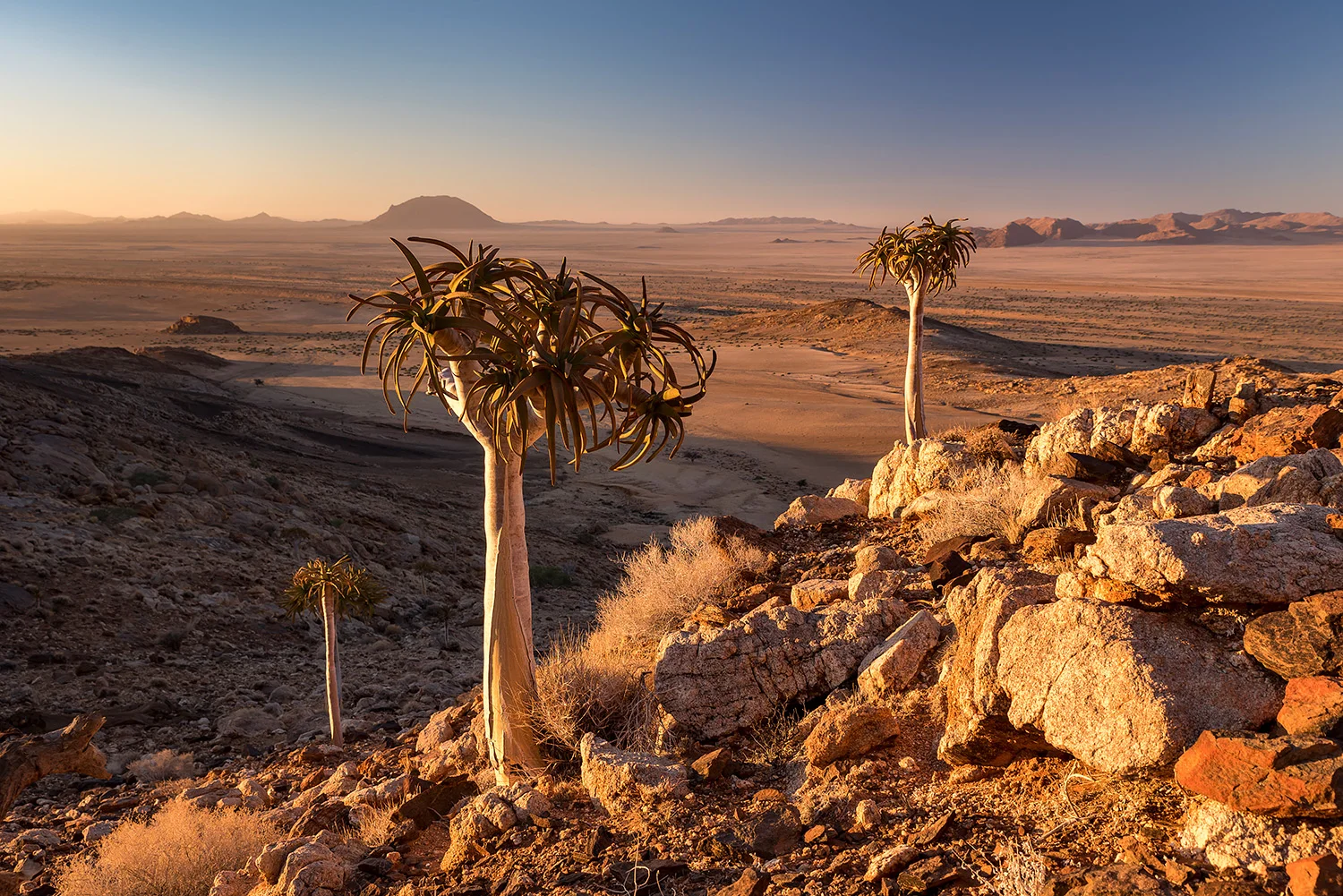 Namibia_StefanForster_124.jpg
