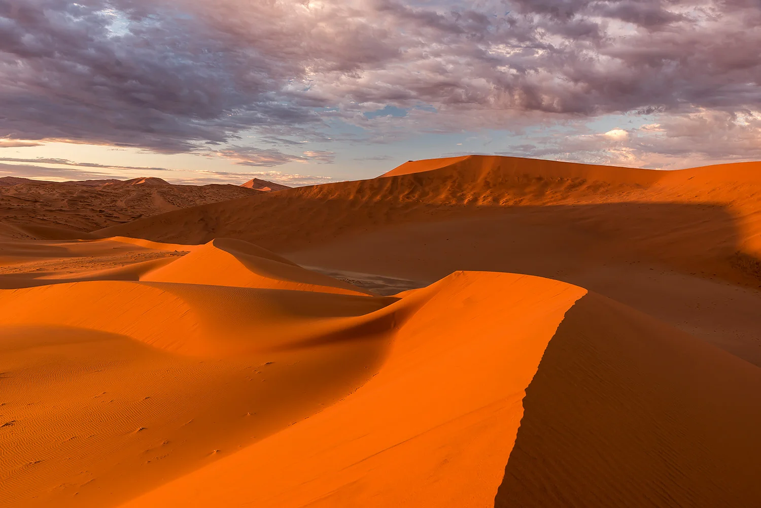 Namibia_StefanForster_128.jpg