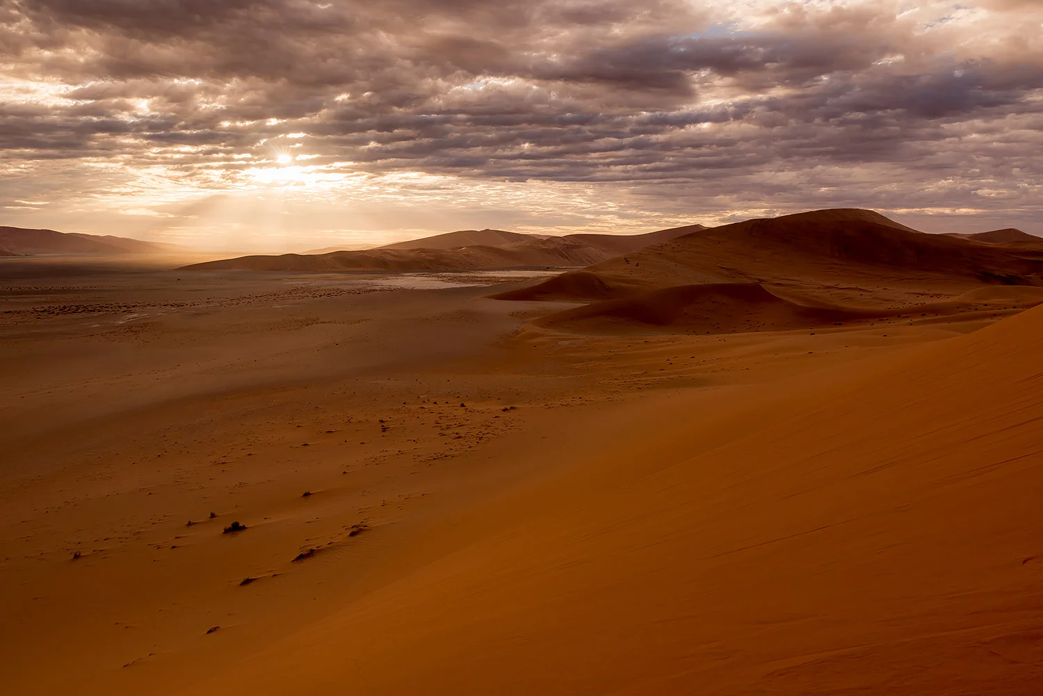 Namibia_StefanForster_132.jpg