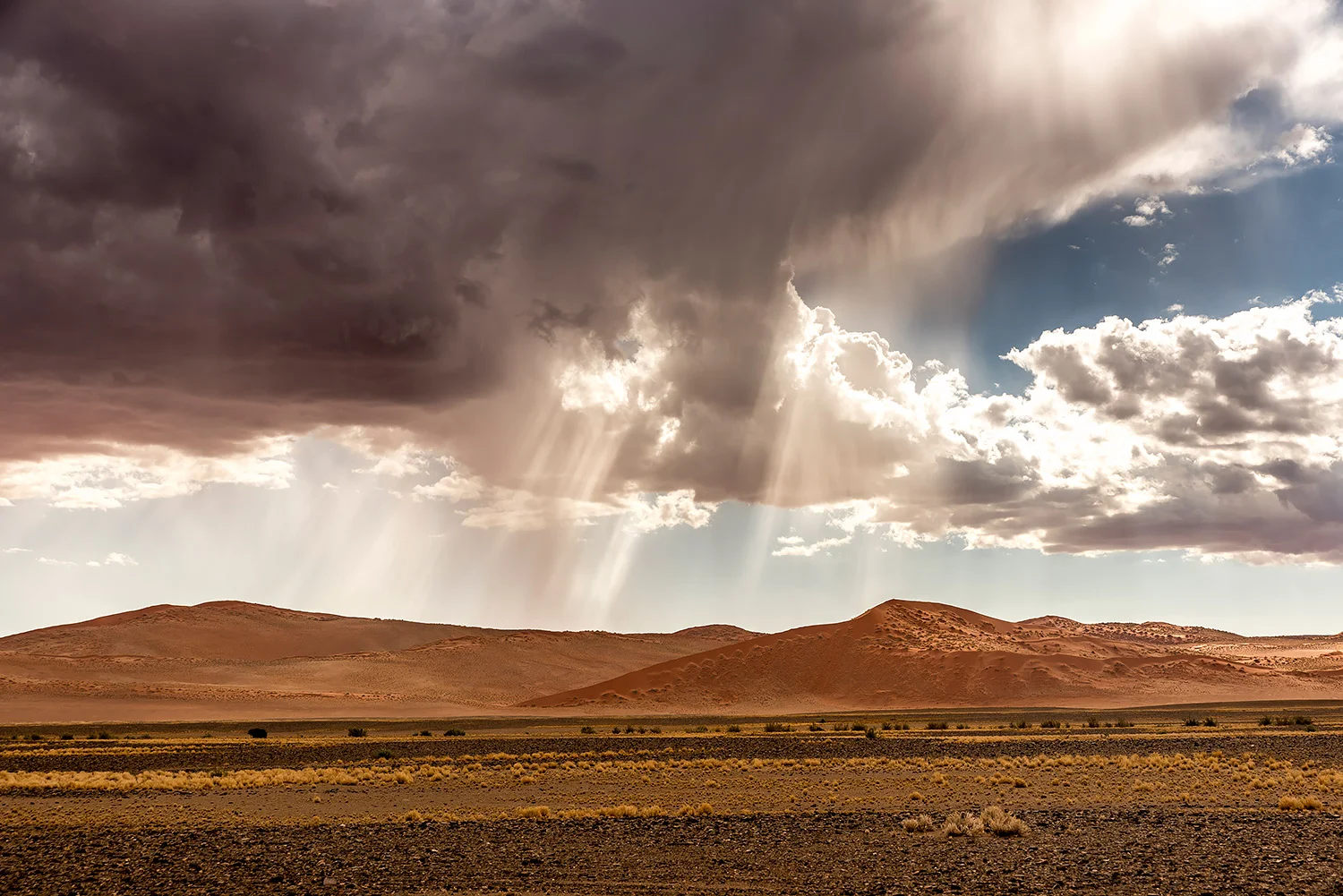 Namibia_StefanForster_135.jpg