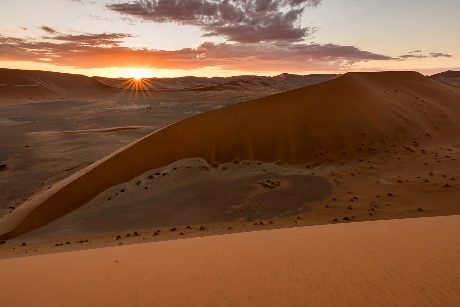 Namibia_StefanForster_136.jpg