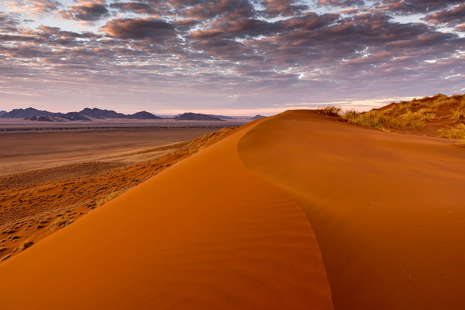 Namibia_StefanForster_139.jpg