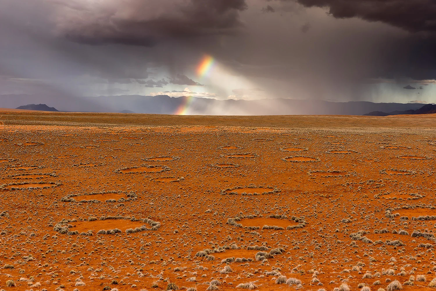 Namibia_StefanForster_142.jpg