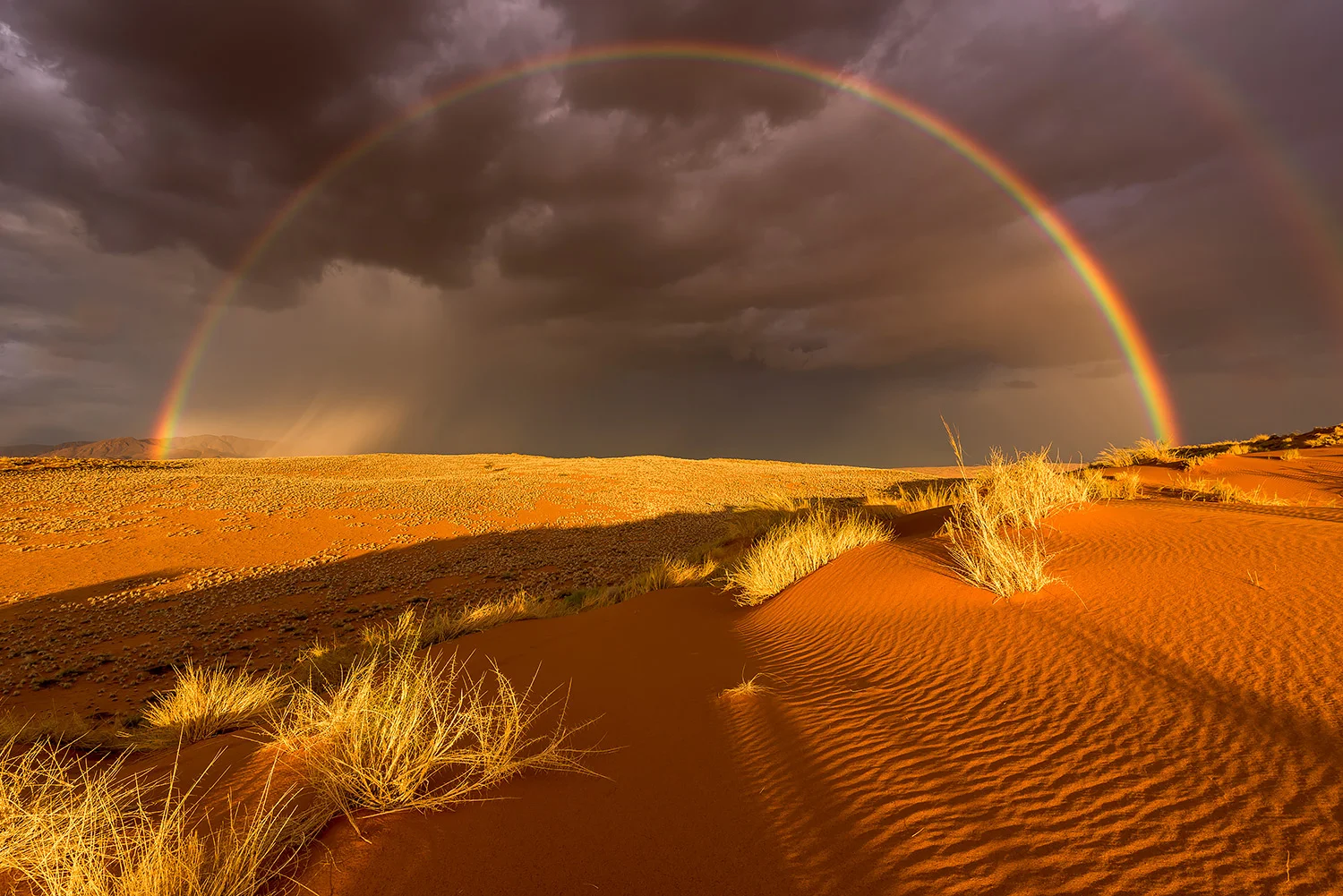 Namibia_StefanForster_143.jpg