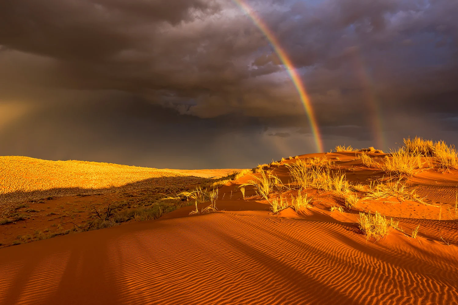 Namibia_StefanForster_144.jpg