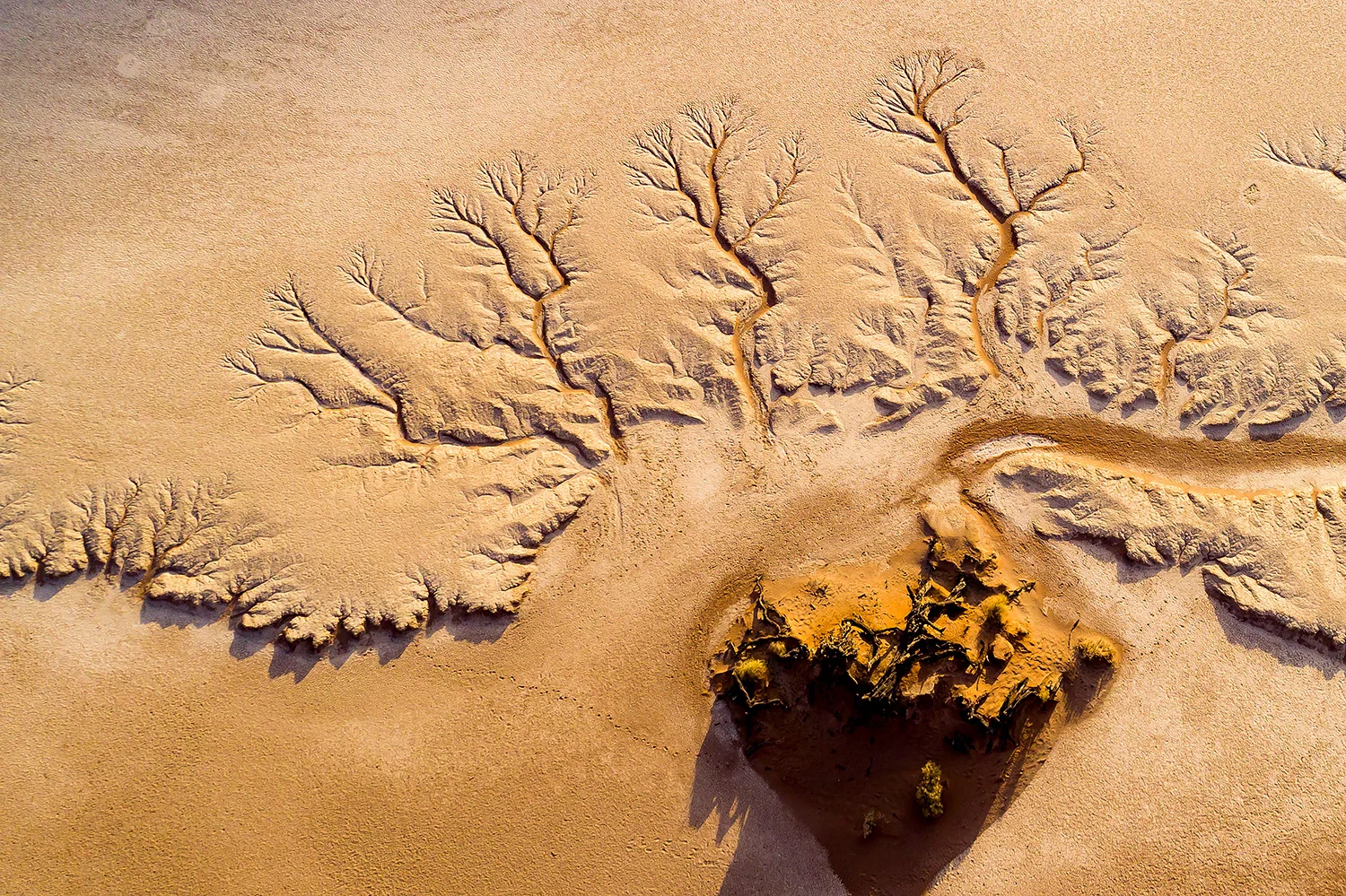 Namibia_StefanForster_147.jpg