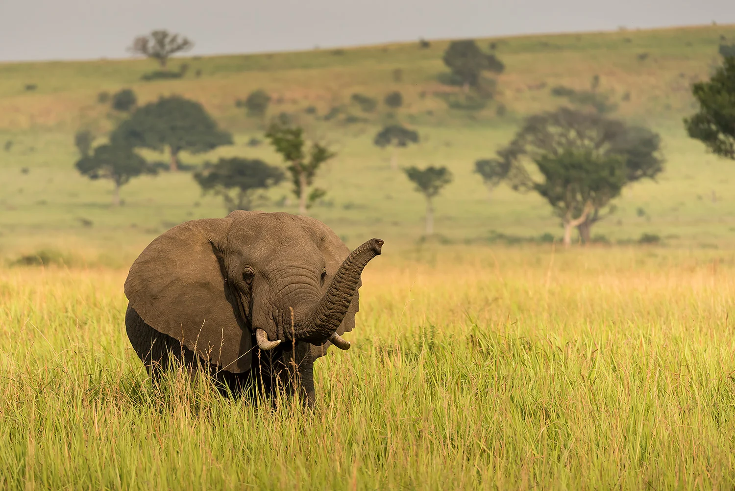 Uganda_StefanForster_22.jpg