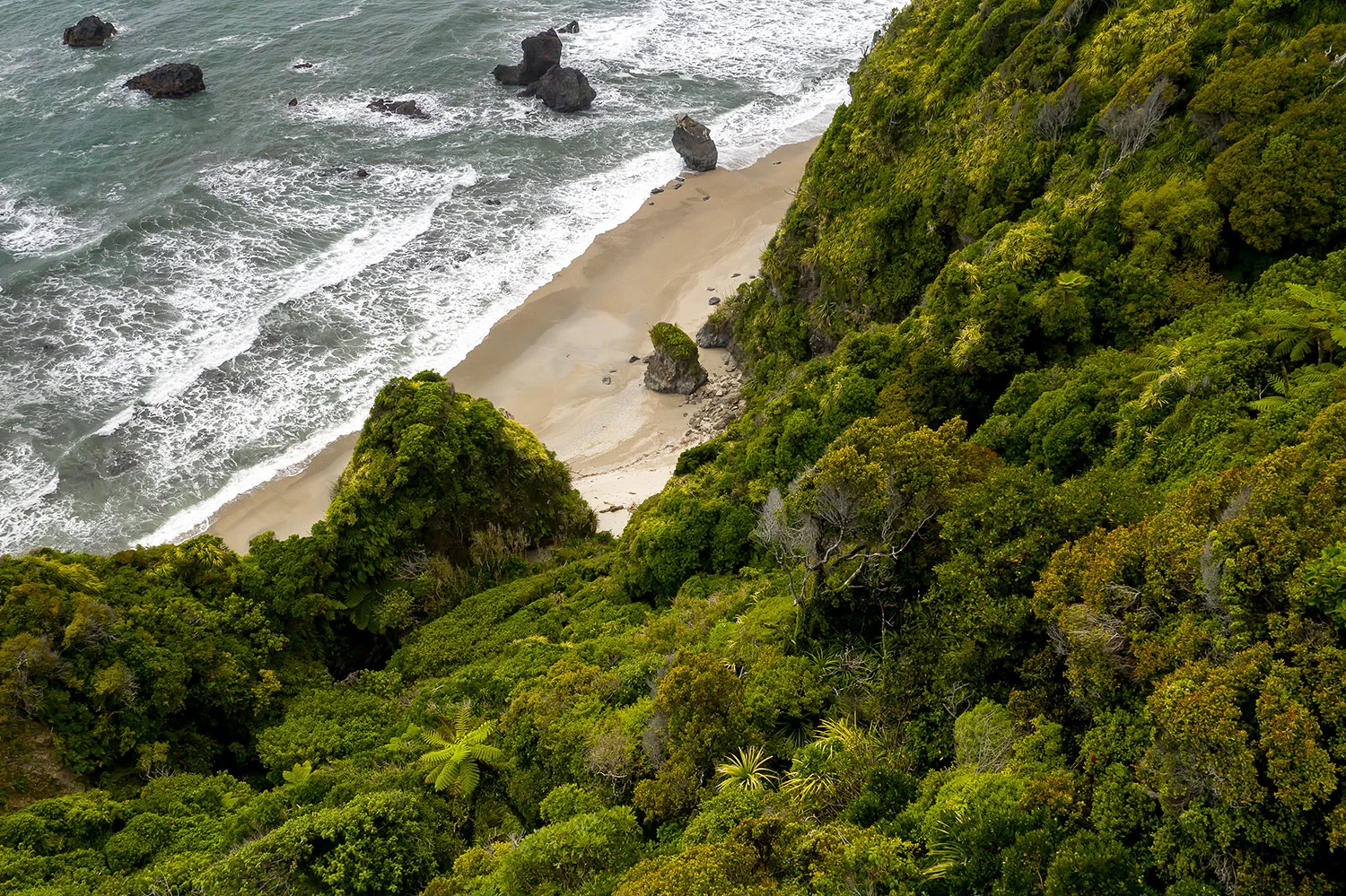 StefanForster_NewZealand111.jpg
