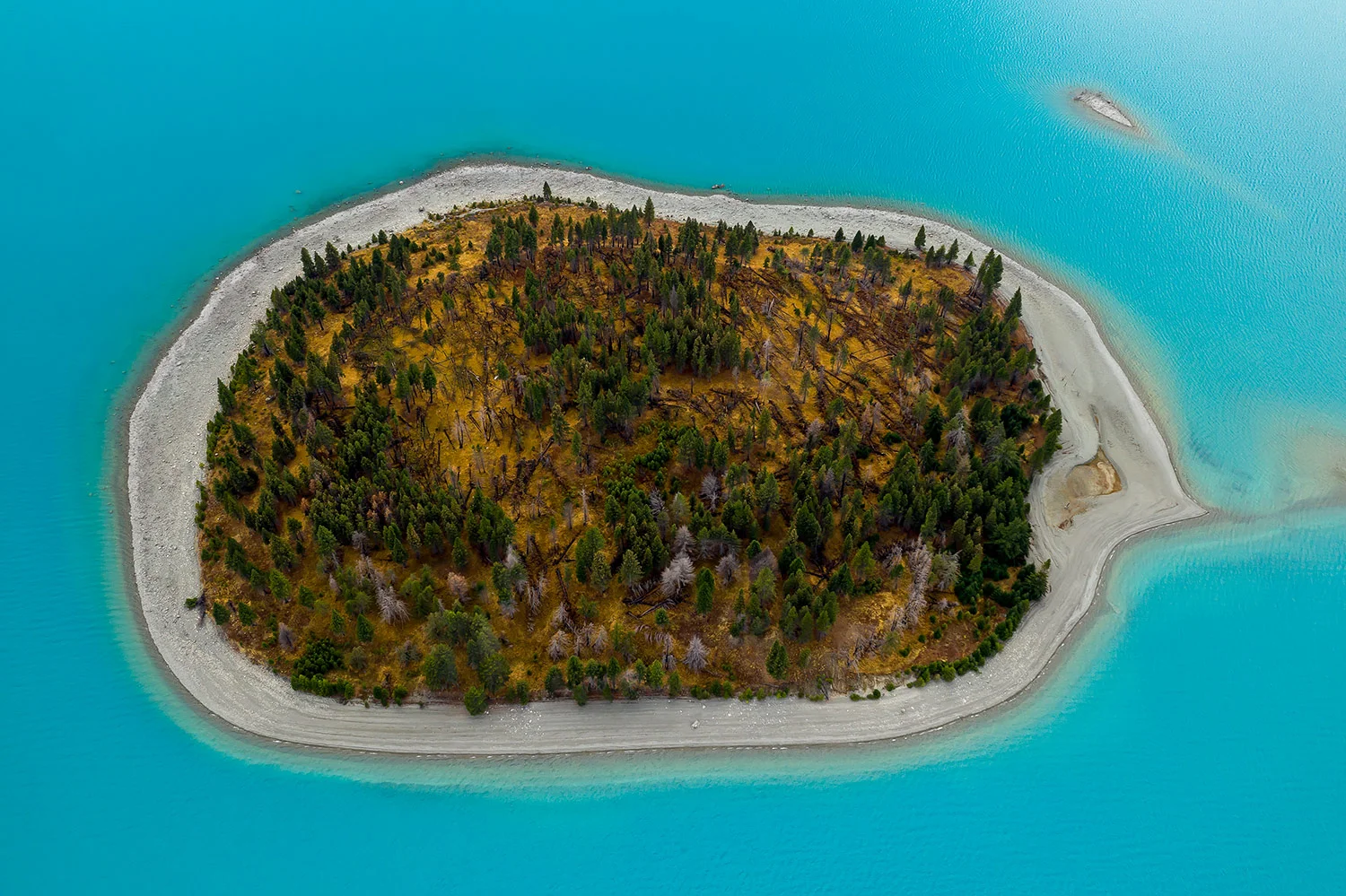 StefanForster_NewZealand101.jpg