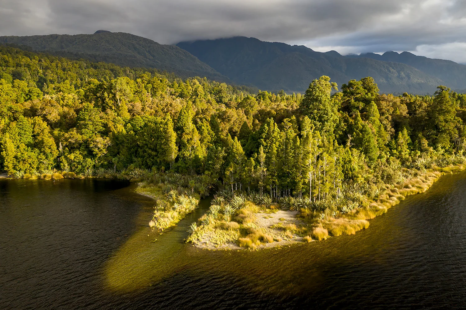 StefanForster_NewZealand98.jpg