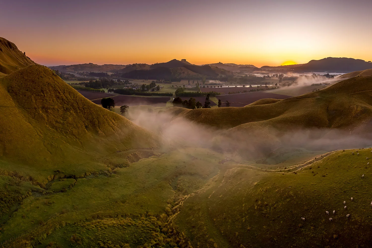 StefanForster_NewZealand125.jpg