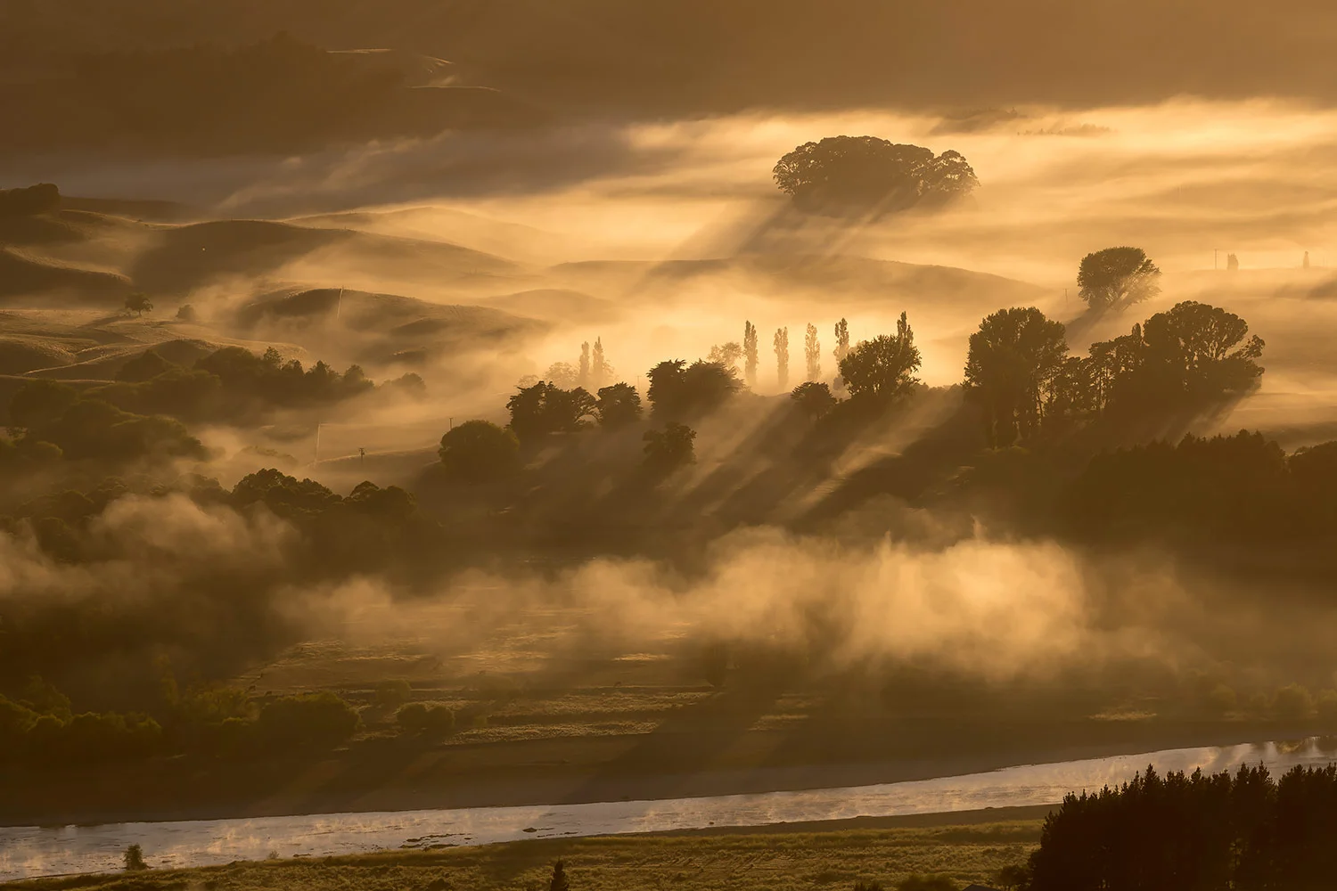 StefanForster_NewZealand84.jpg