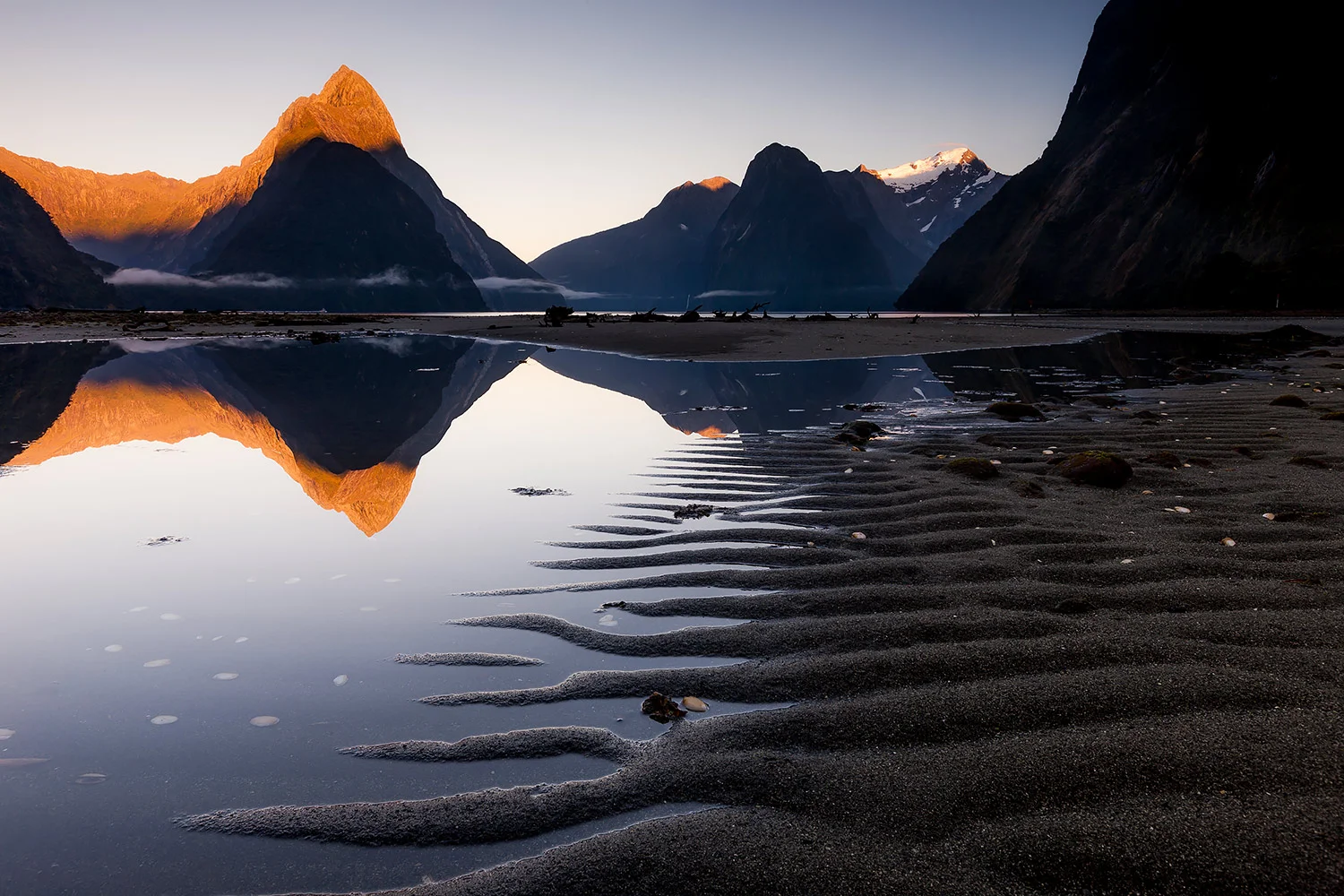 NewZealand_StefanForster4.jpg