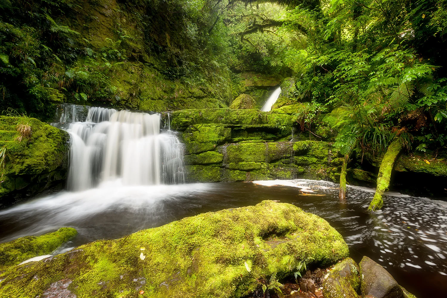 NewZealand_StefanForster3.jpg
