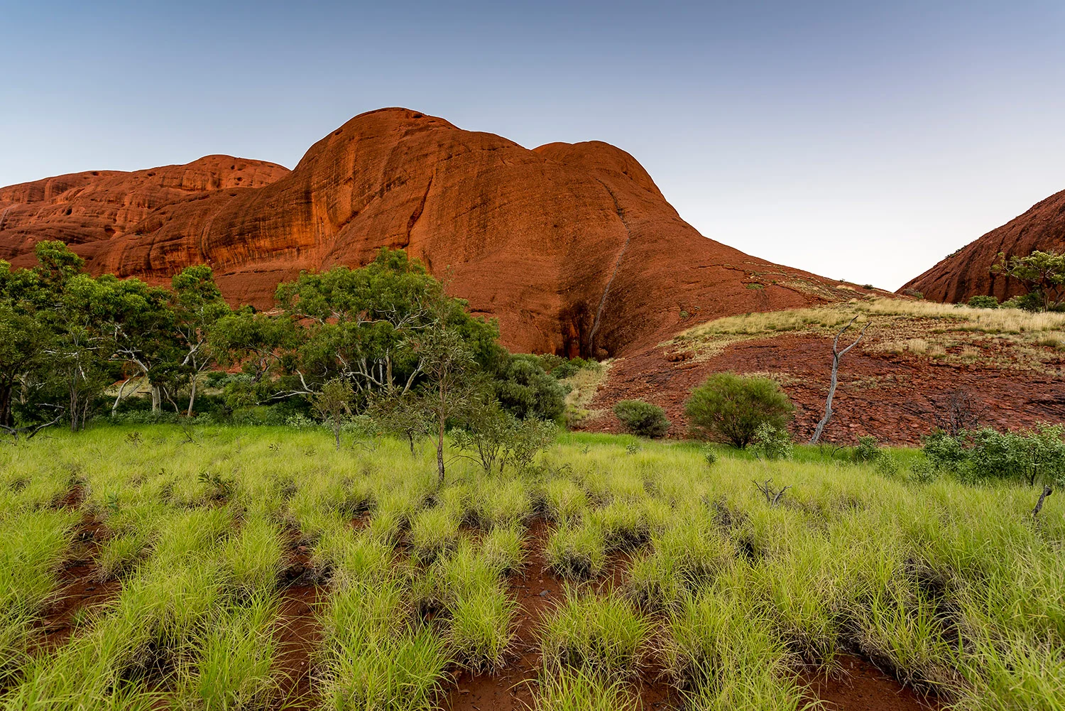 StefanForster_Australia63.jpg