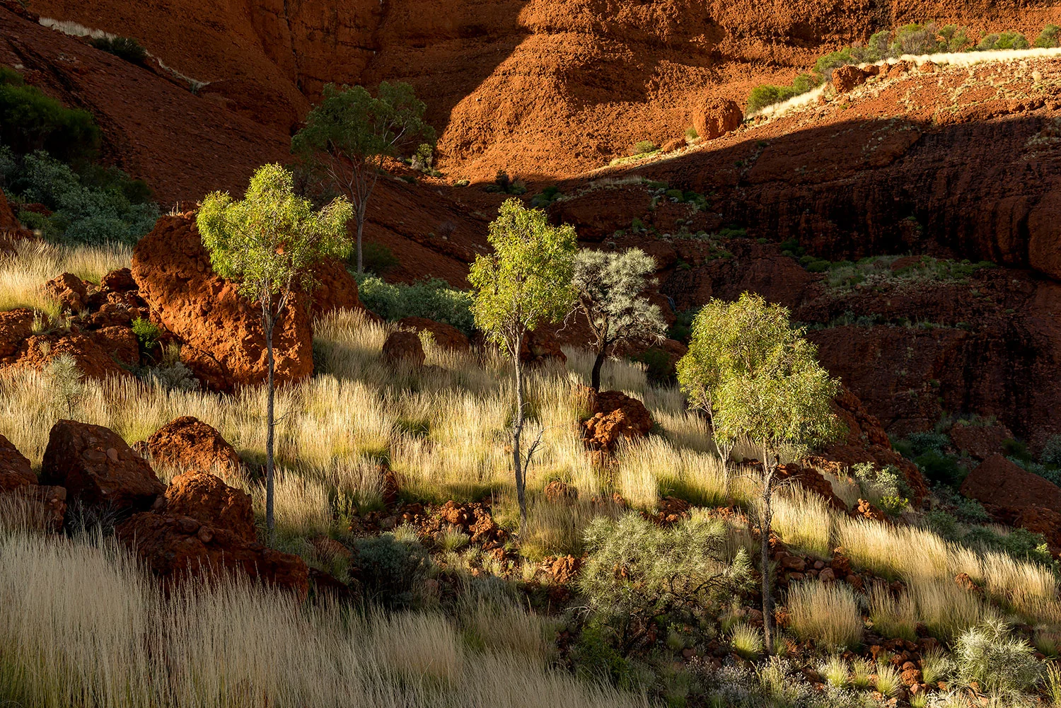 StefanForster_Australia59.jpg
