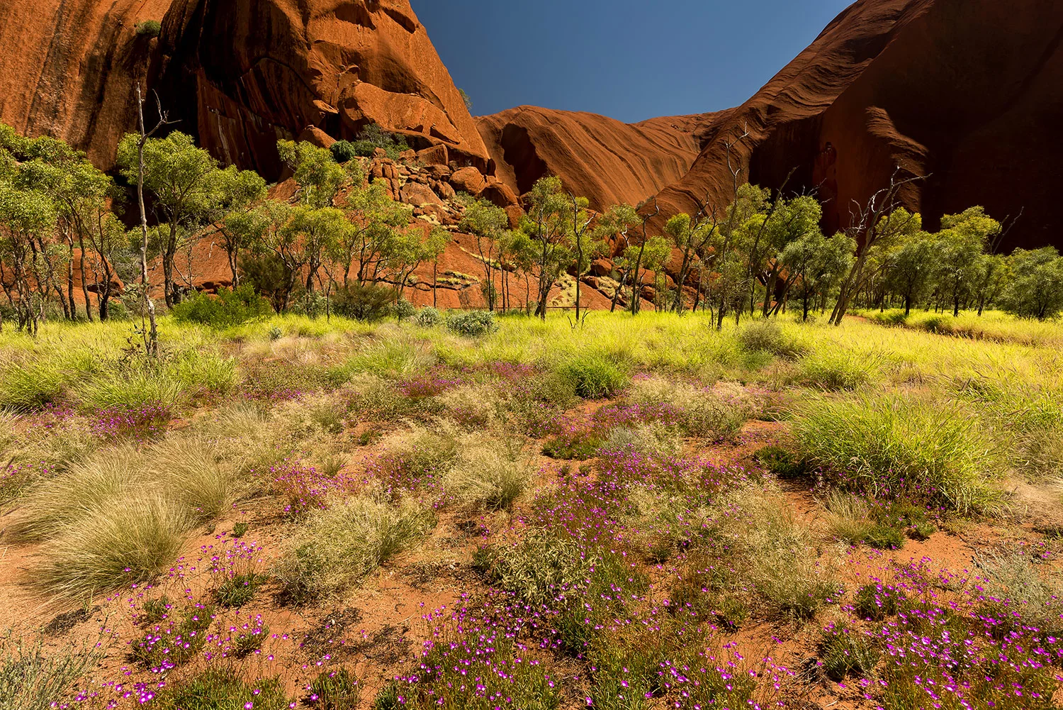 StefanForster_Australia49.jpg