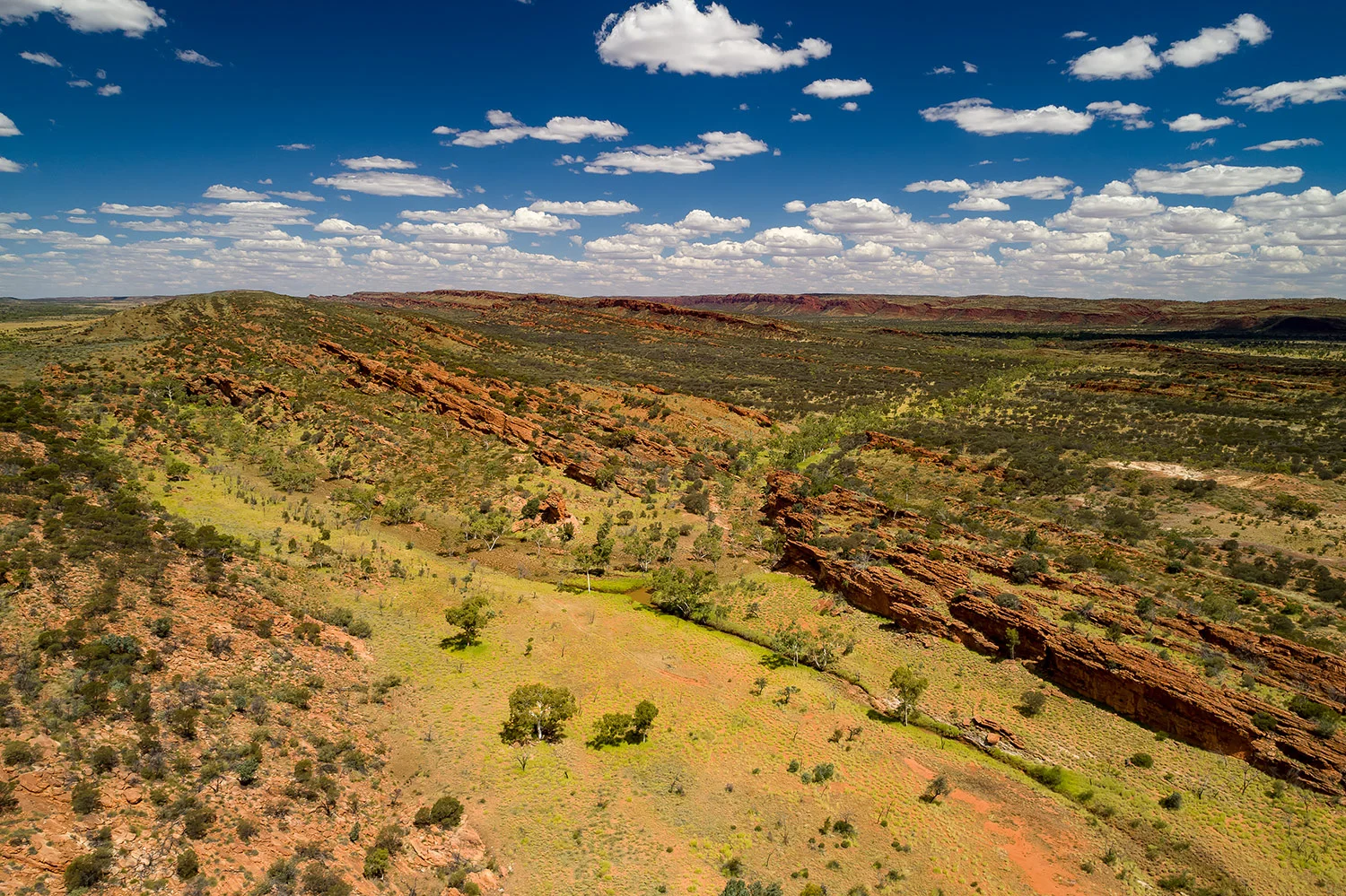 StefanForster_Australia48.jpg