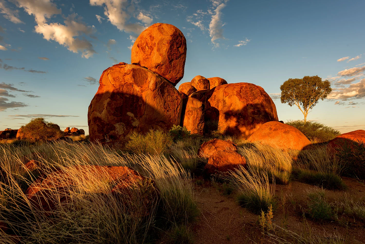 StefanForster_Australia30.jpg