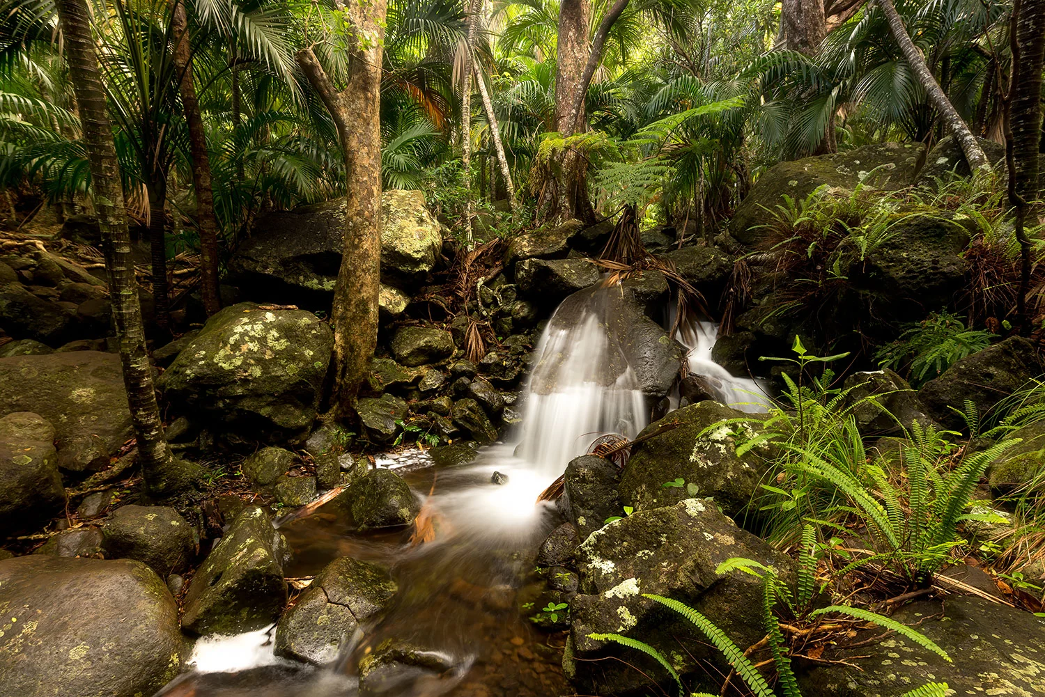 StefanForster_Australia10.jpg