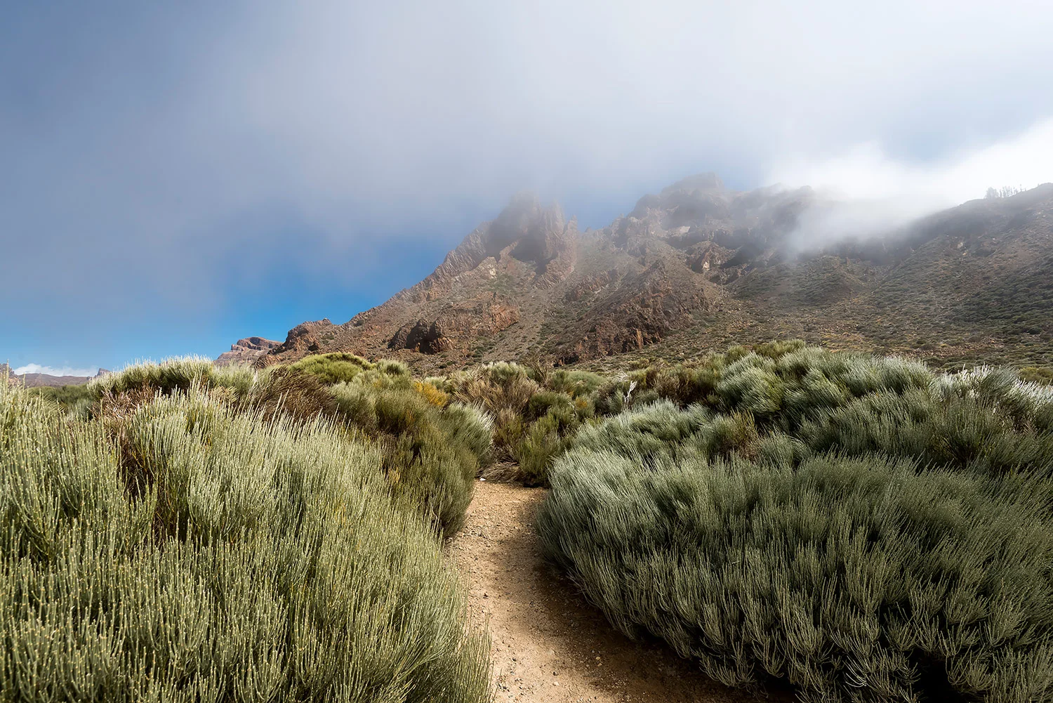 StefanForster_CanaryIslands_69.jpg