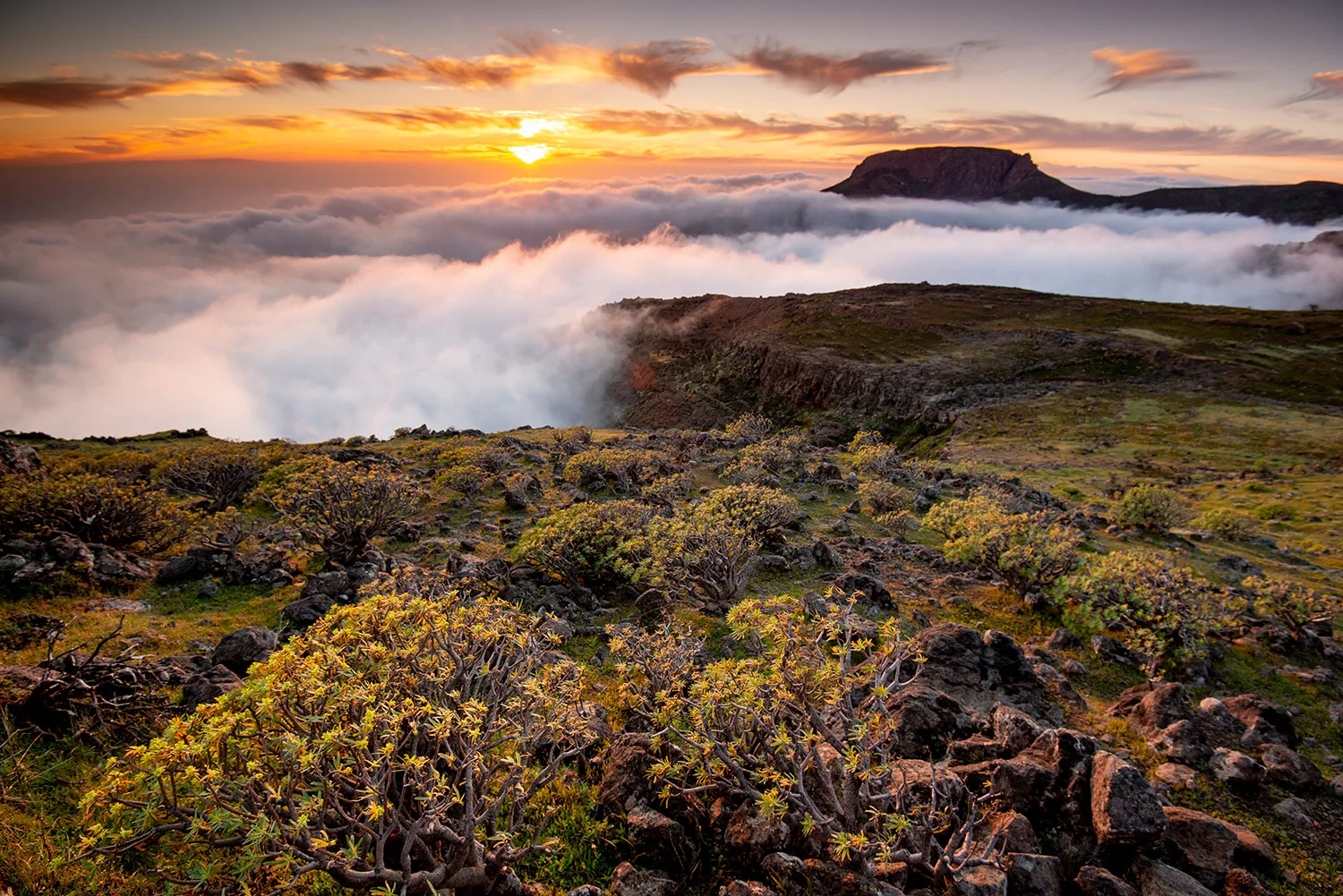 StefanForster_CanaryIslands_52.jpg