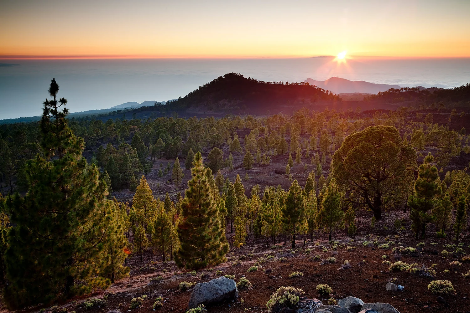 StefanForster_CanaryIslands_25.jpg