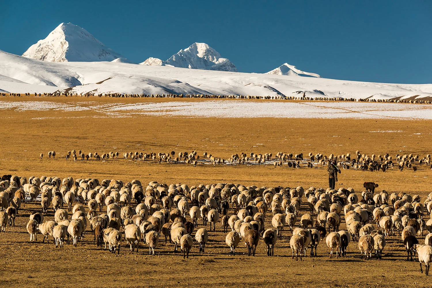 StefanForster_Tibet_56.jpg