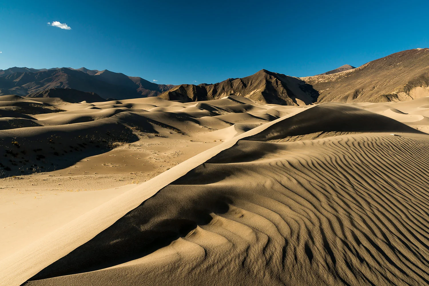 StefanForster_Tibet_24.jpg