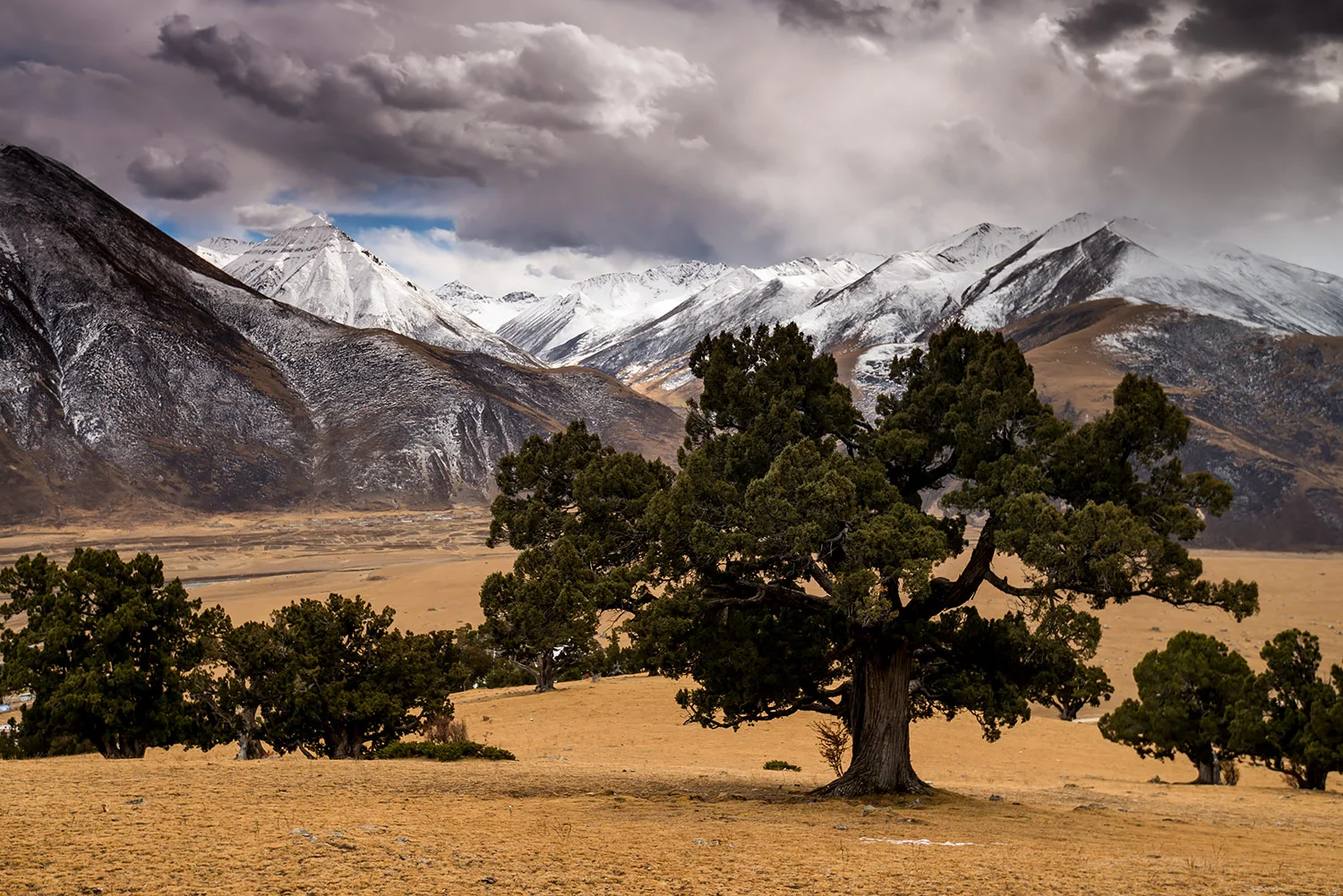 StefanForster_Tibet_18.jpg