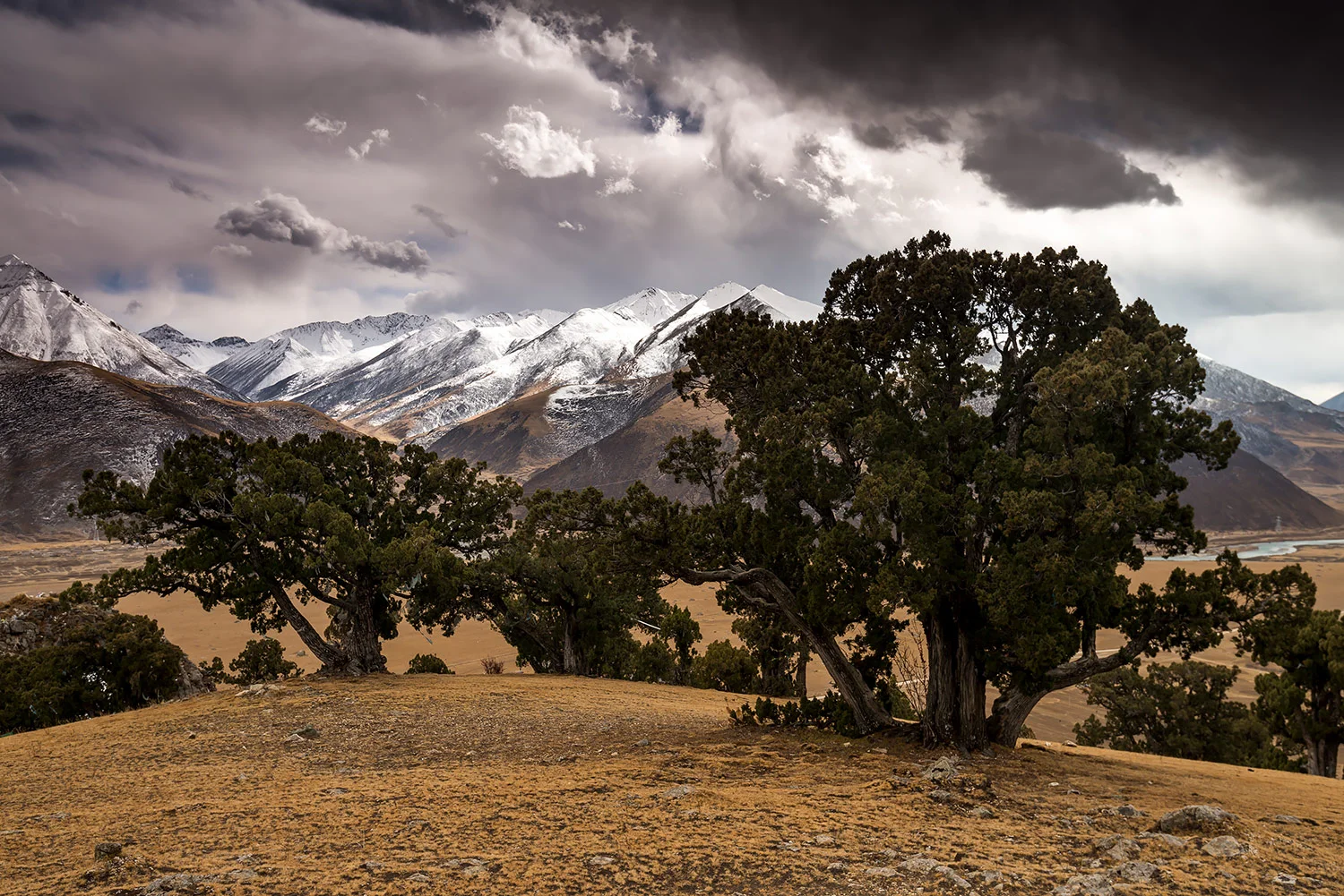 StefanForster_Tibet_15.jpg