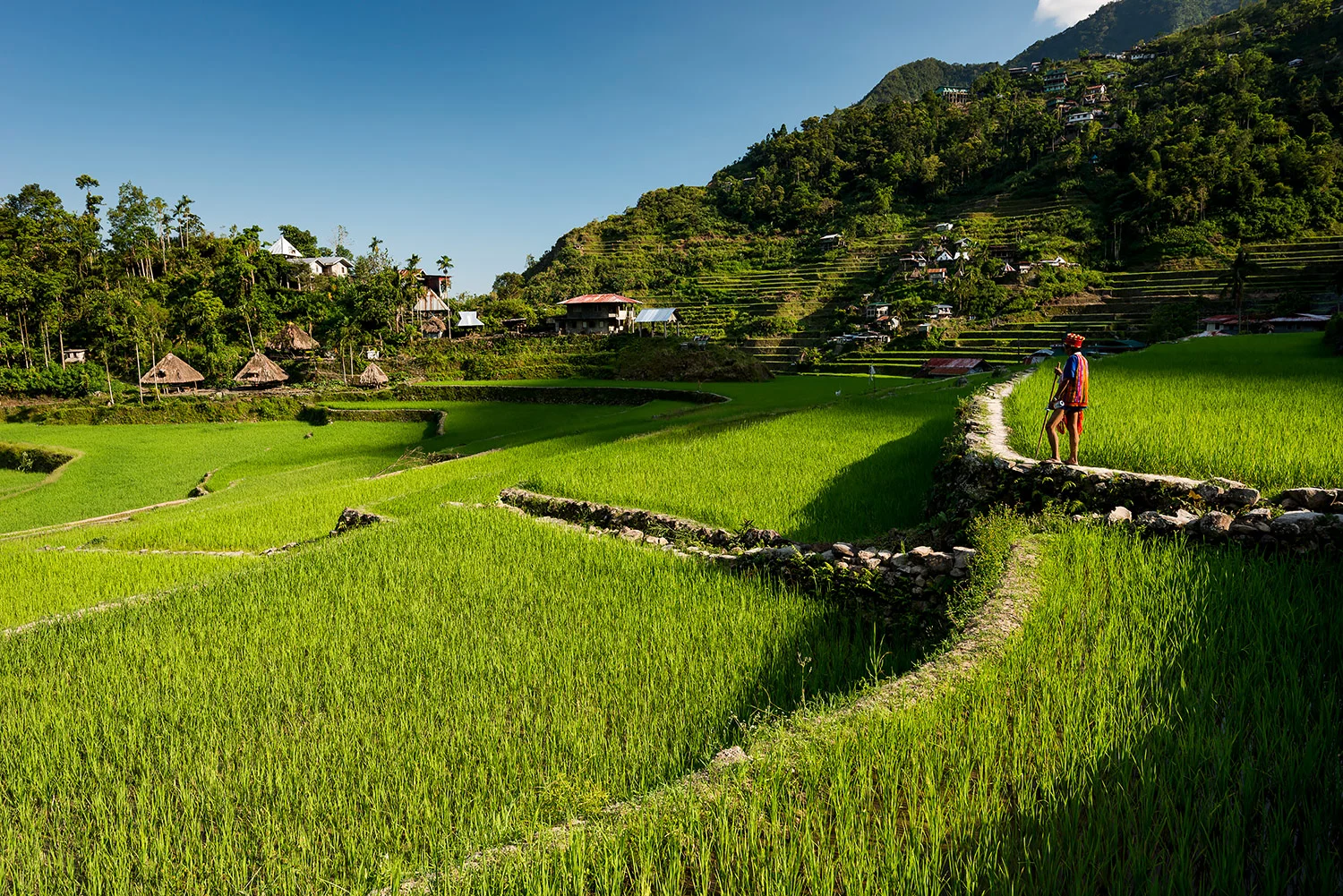 StefanForster_Philippines_13.jpg