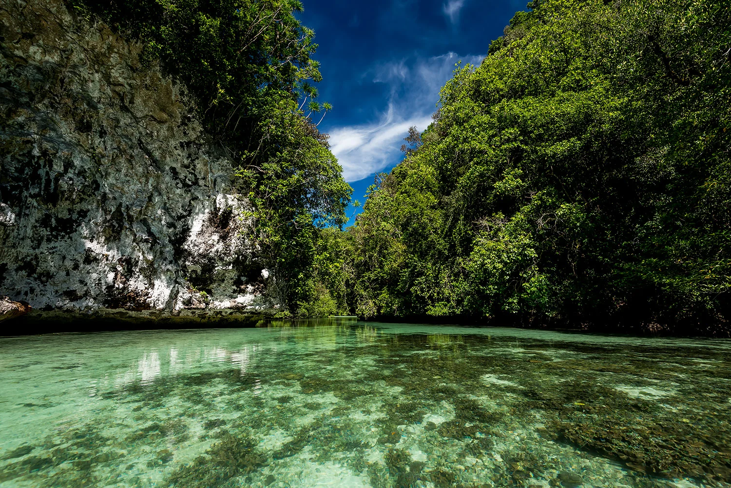 StefanForster_Palau_27.jpg