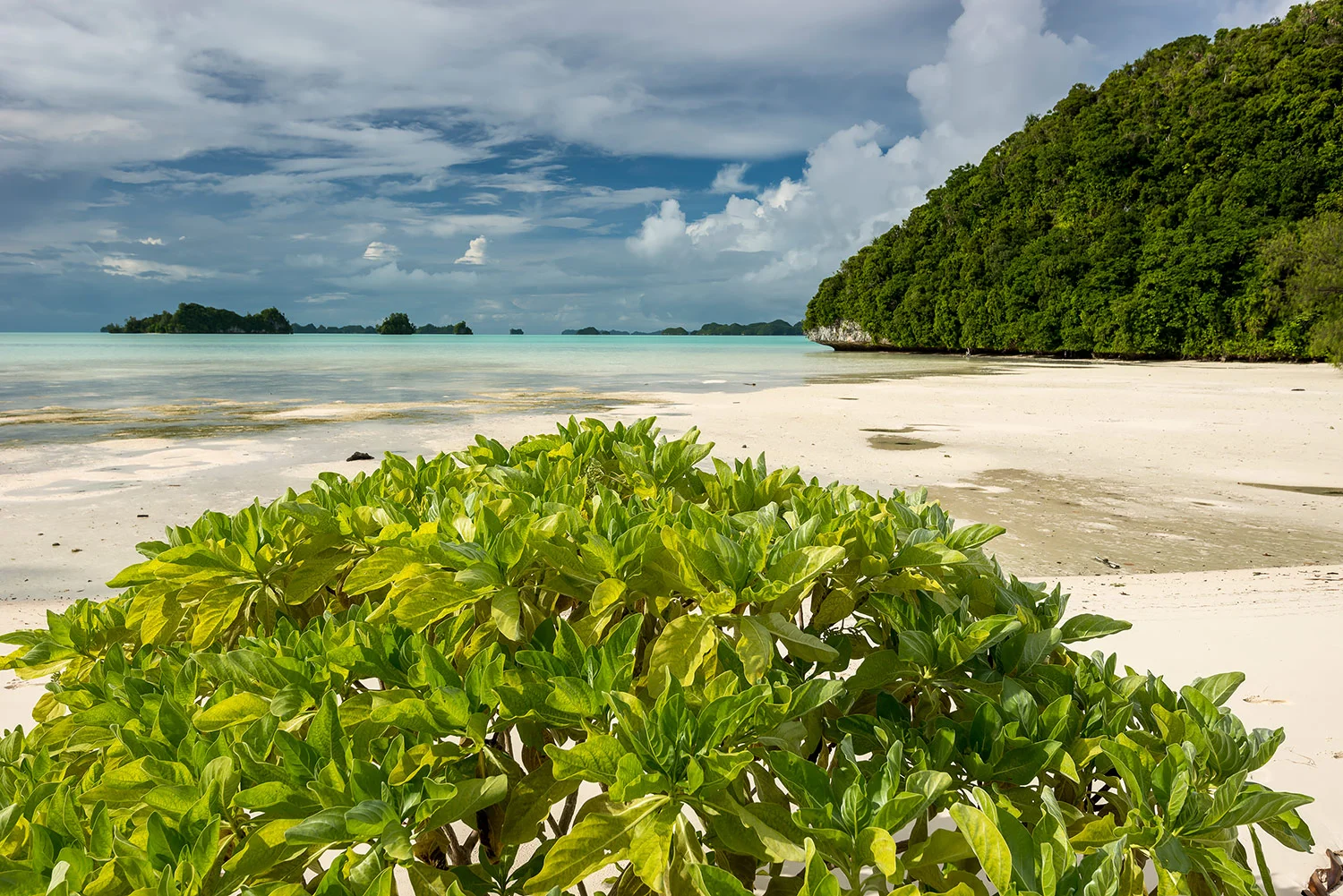StefanForster_Palau_26.jpg
