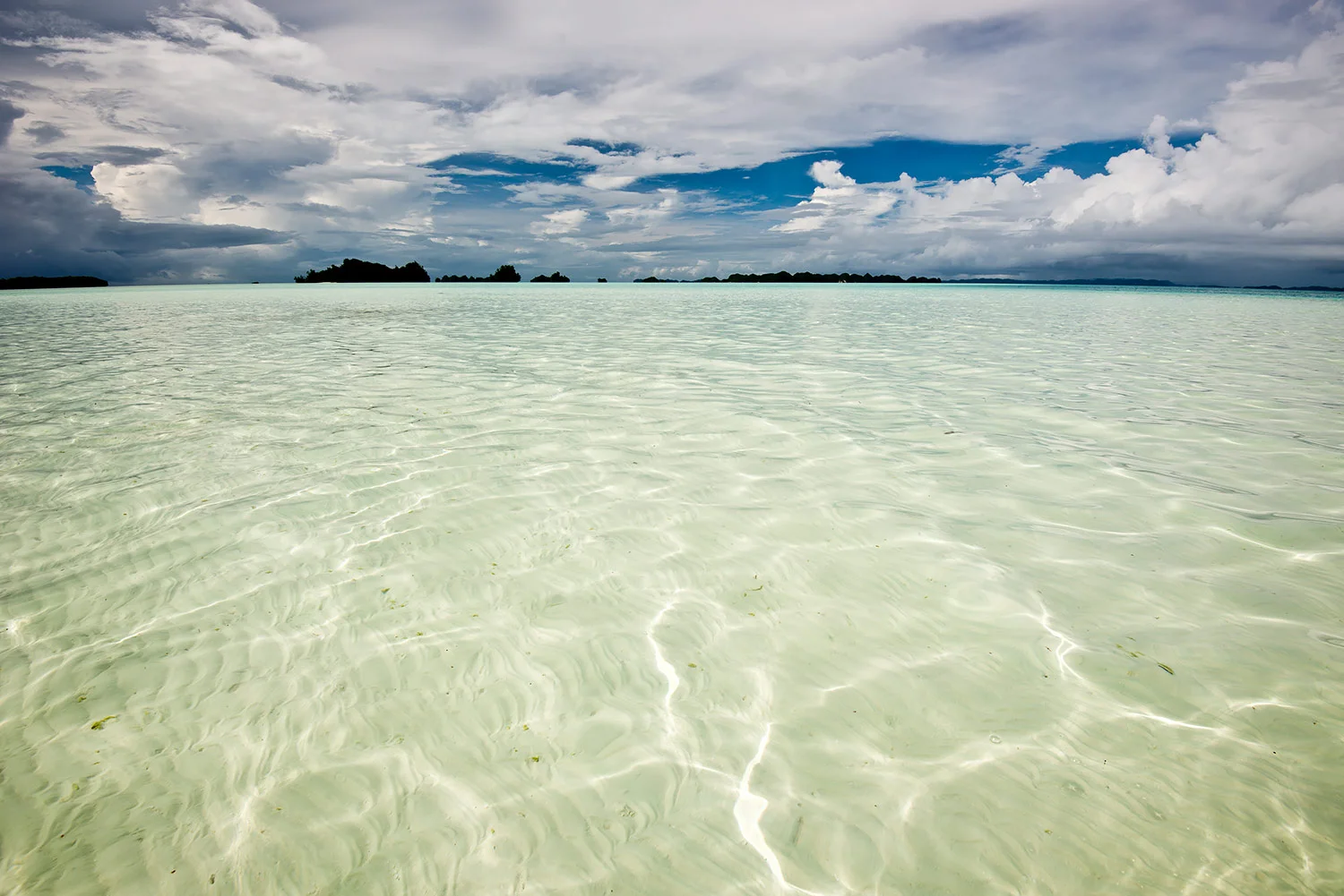StefanForster_Palau_25.jpg
