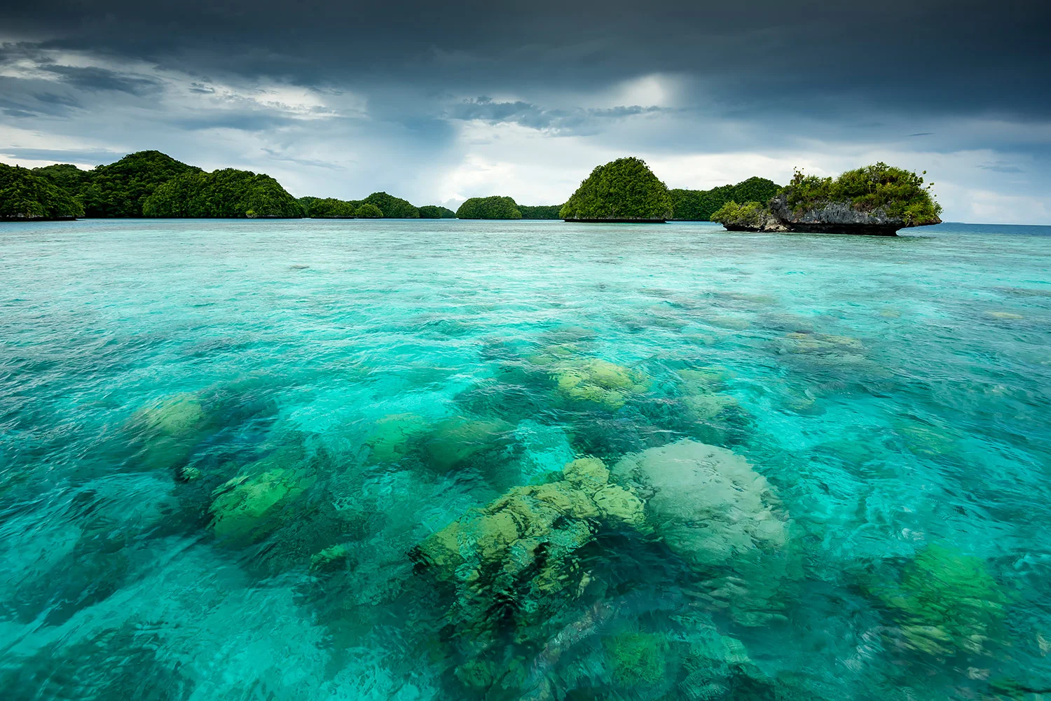 StefanForster_Palau_19.jpg