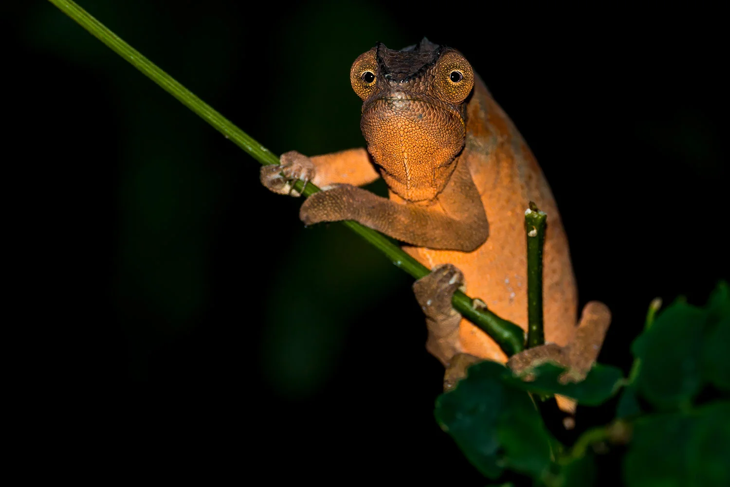 StefanForster_LaReunion_15.jpg