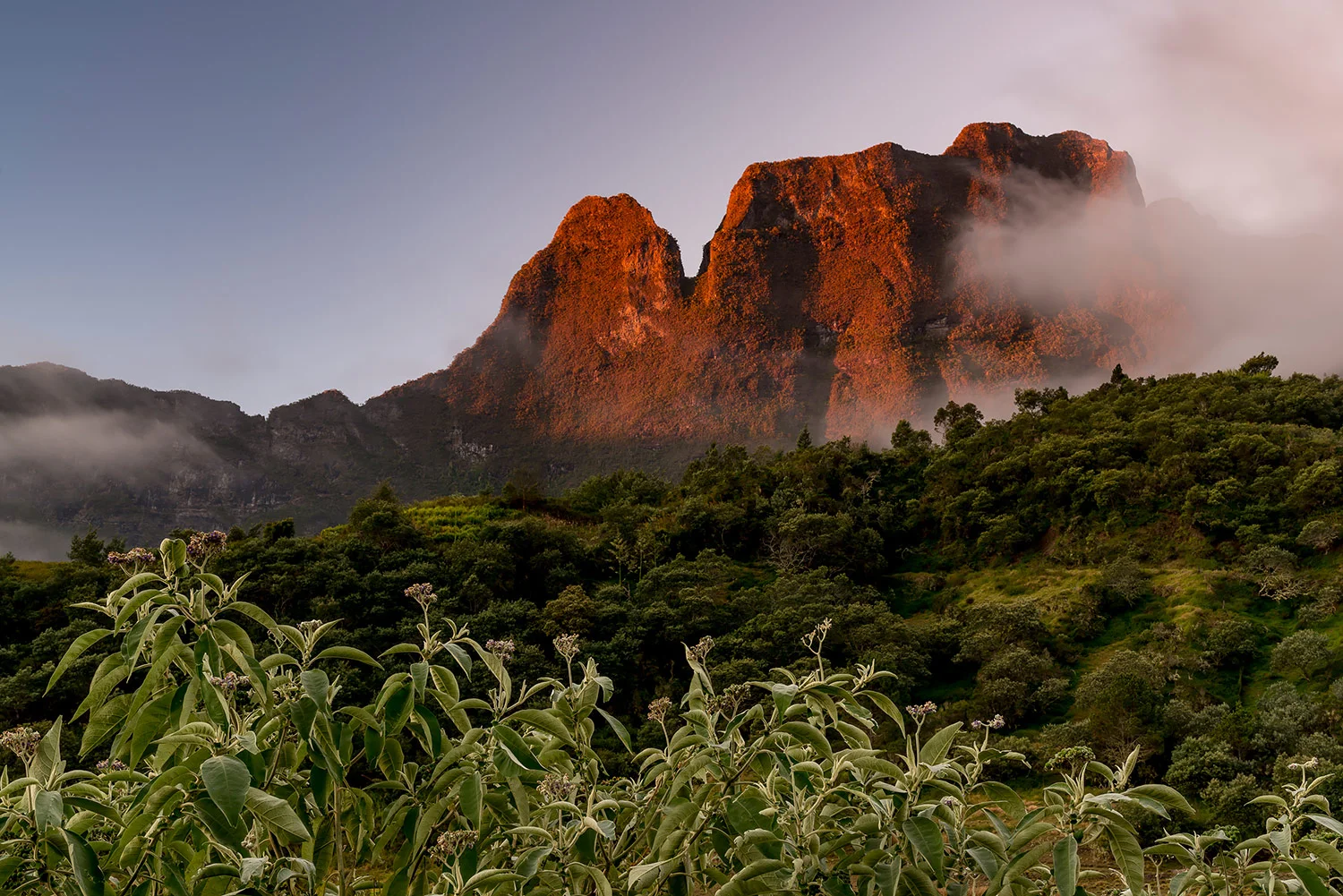 StefanForster_LaReunion_1.jpg