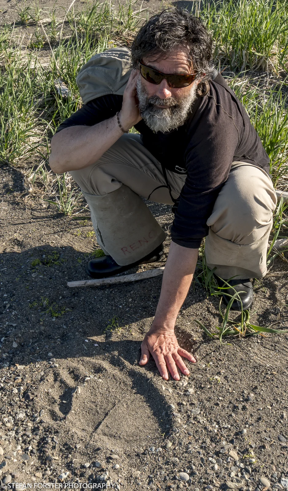 Gewaltige Bärenspuren im Sand