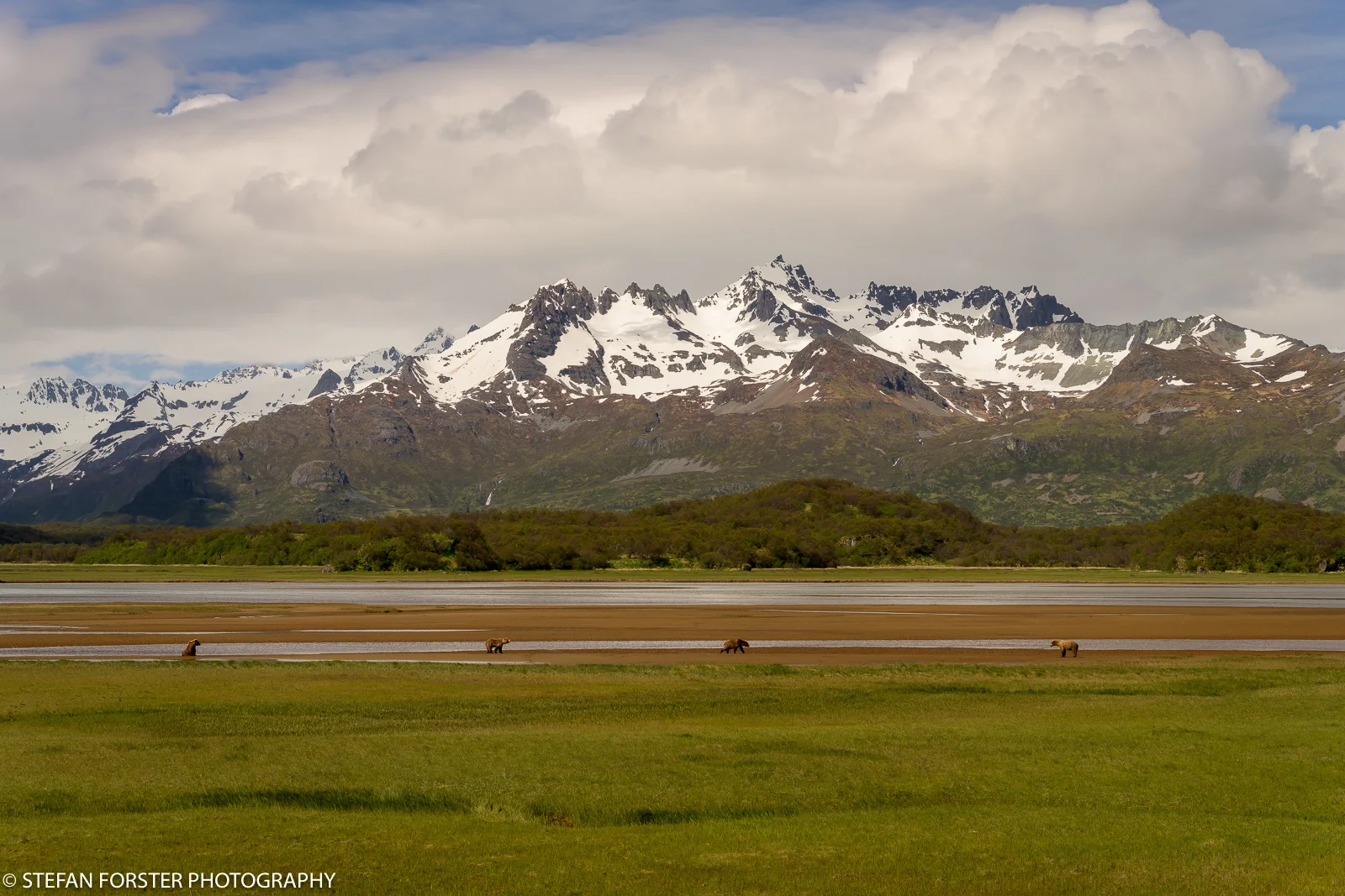 _SFO0398.jpg