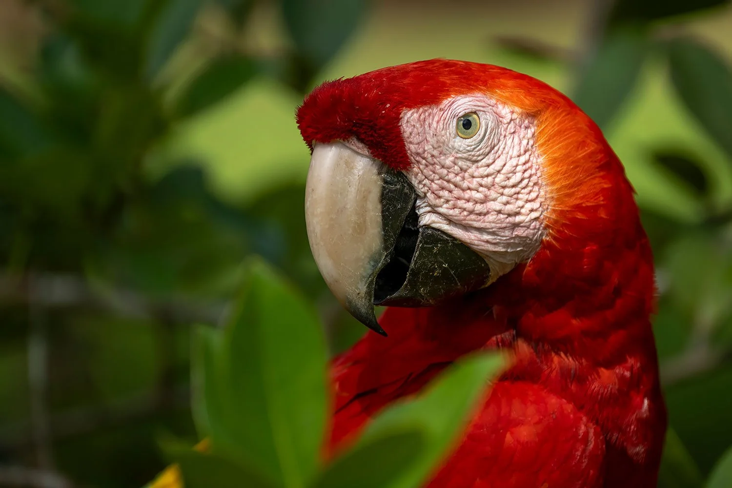 CostaRica_StefanForster-68.jpg