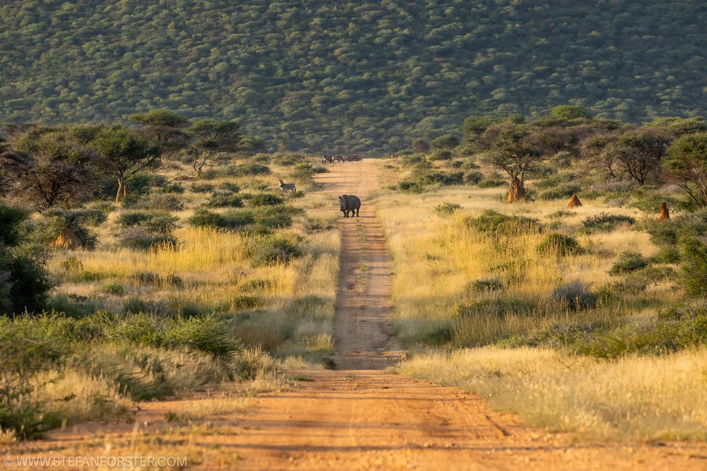 Namibia_StefanForster1.jpg