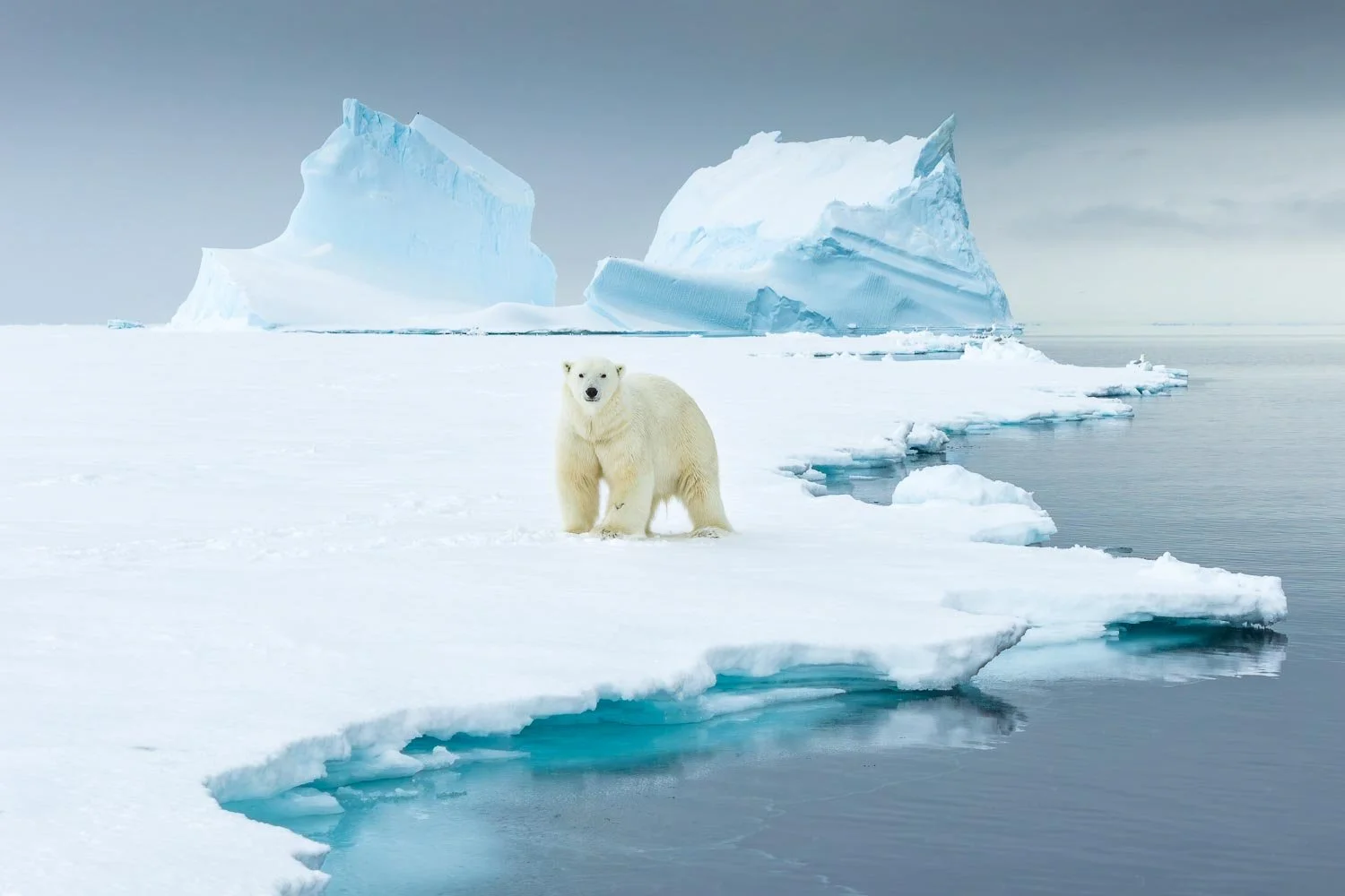 Greenland_StefanForster16.jpg