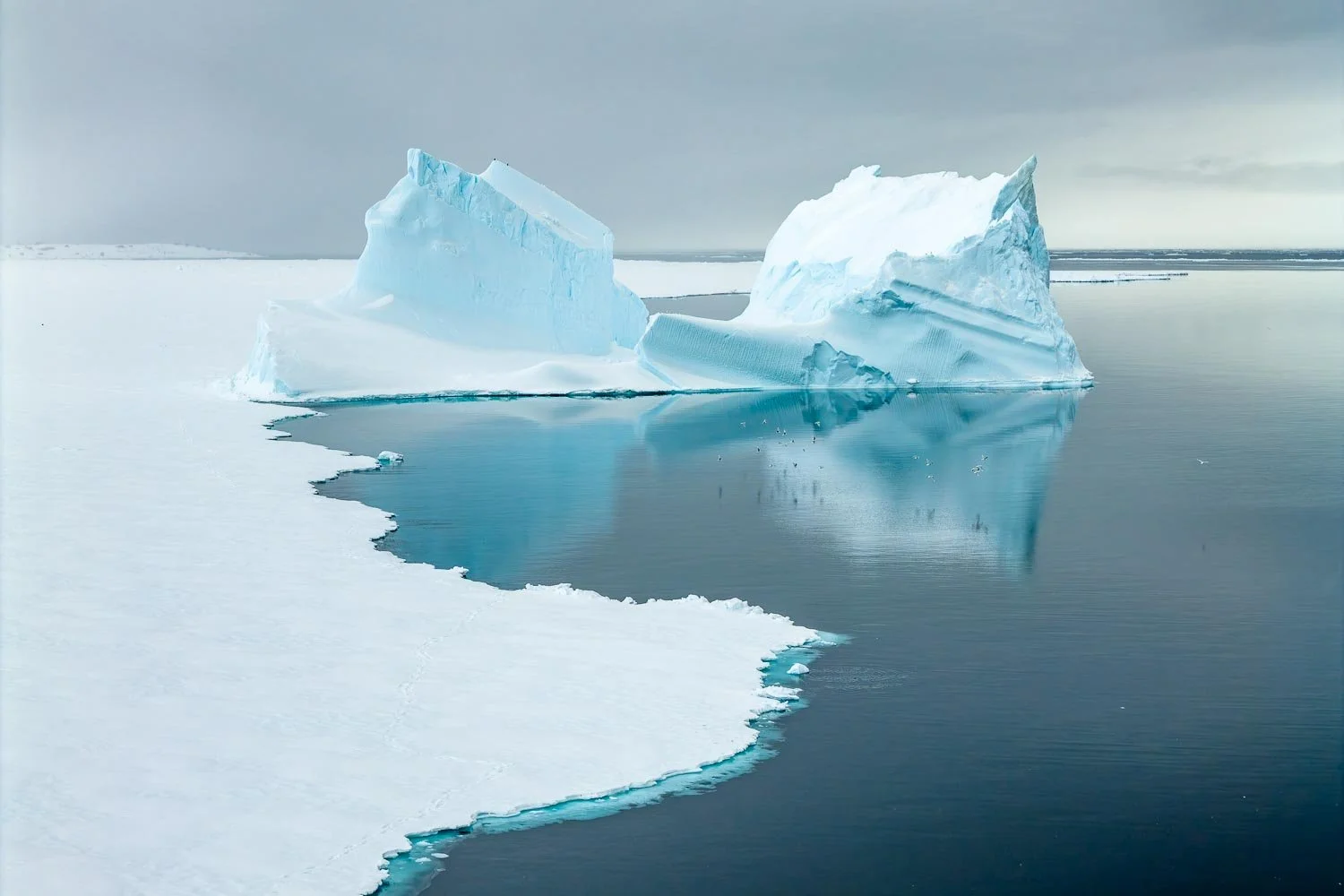 Greenland_StefanForster17.jpg